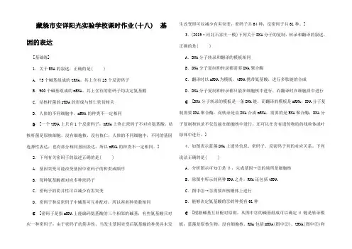 高考生物一轮复习 课时作业 基因的表达
