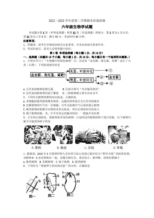 山东省泰安市东平县2022-2023学年六年级下学期7月期末生物试题(含答案)