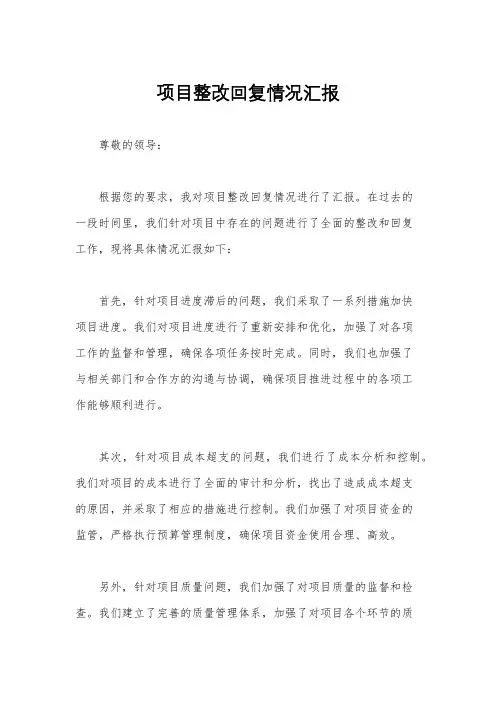 项目整改回复情况汇报
