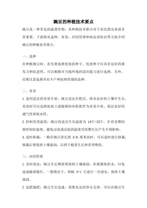 豌豆的种植技术要点