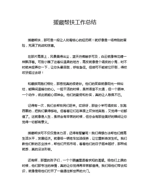 援藏帮扶工作总结