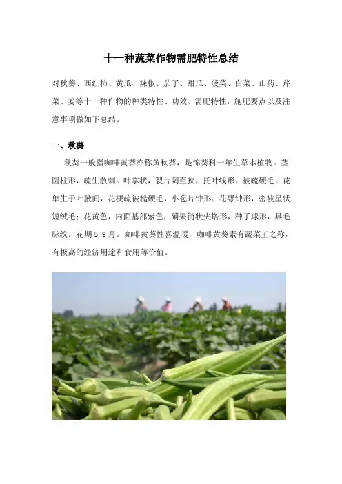 十一种蔬菜作物需肥特点总结