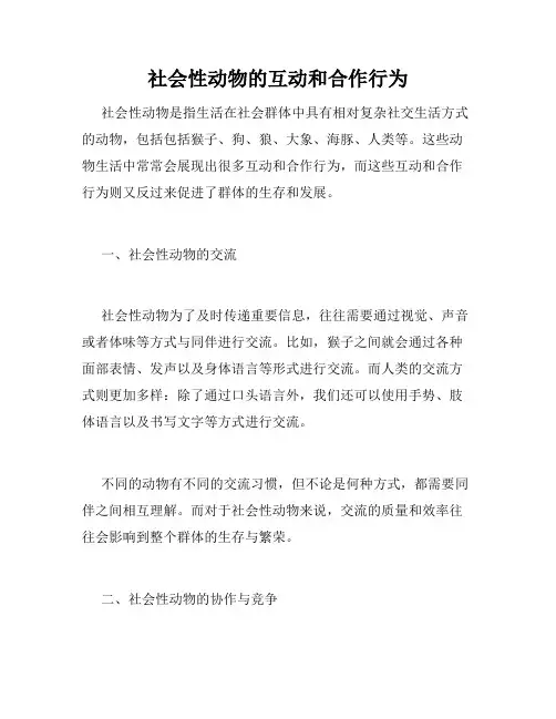 社会性动物的互动和合作行为