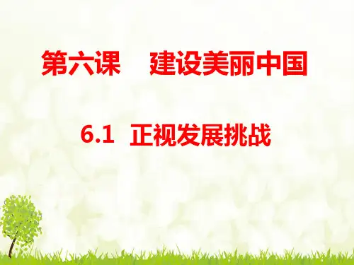 第六课正视发展挑战