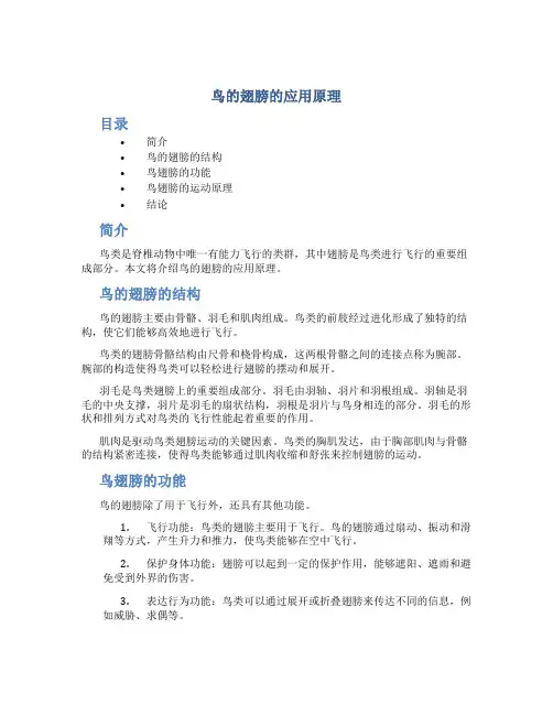 鸟的翅膀的应用原理 (2)