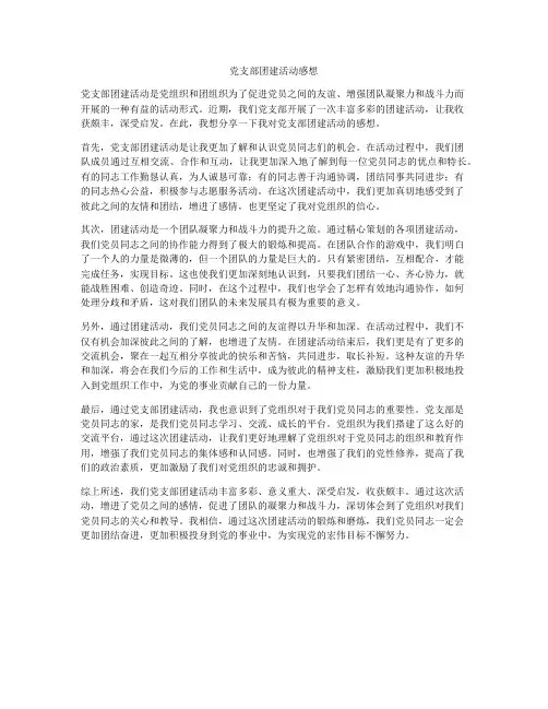 党支部团建活动感想