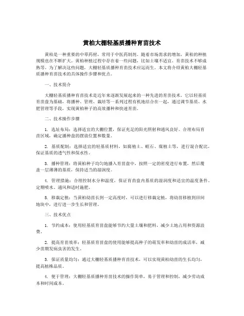 黄柏大棚轻基质播种育苗技术