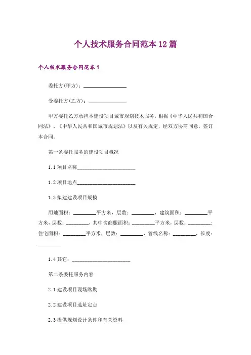 个人技术服务合同范本12篇