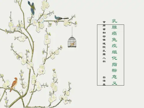 免疫组化指标意义及分子分型