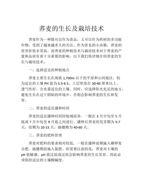 荞麦的生长及栽培技术