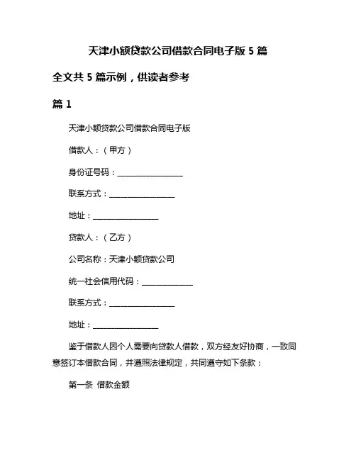 天津小额贷款公司借款合同电子版5篇