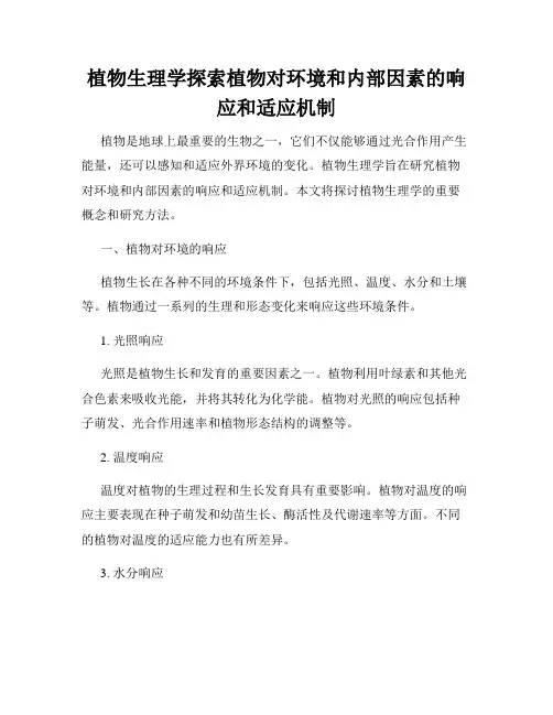植物生理学探索植物对环境和内部因素的响应和适应机制