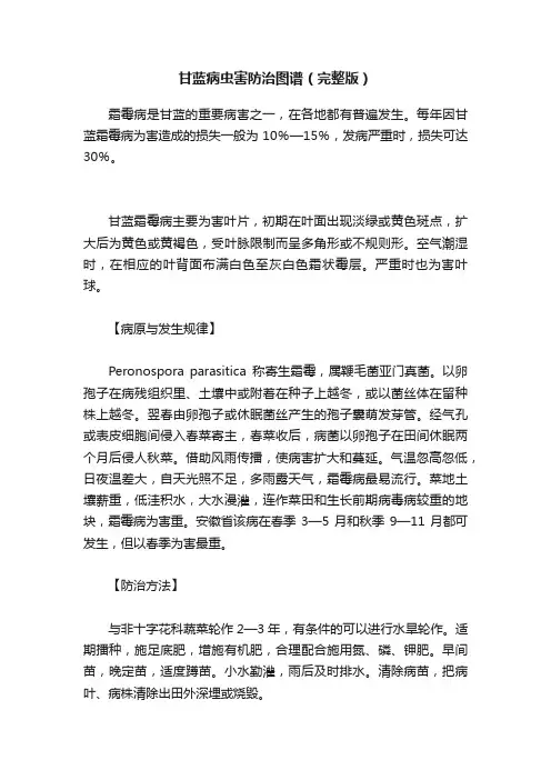 甘蓝病虫害防治图谱（完整版）