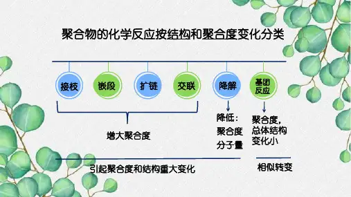 聚合物的化学反应高分子化学