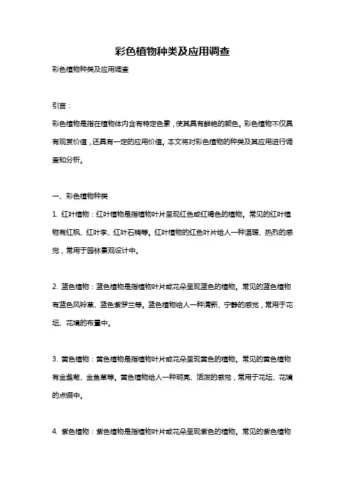 彩色植物种类及应用调查