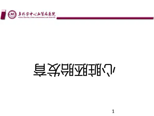 心脏胚胎发育PPT课件