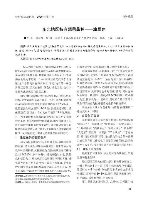东北地区特有蔬菜品种——油豆角