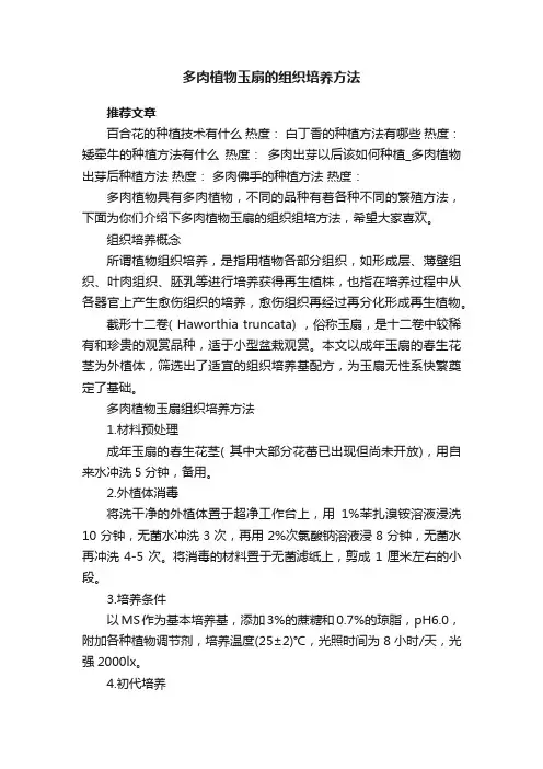 多肉植物玉扇的组织培养方法