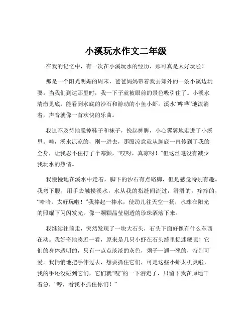 小溪玩水作文二年级