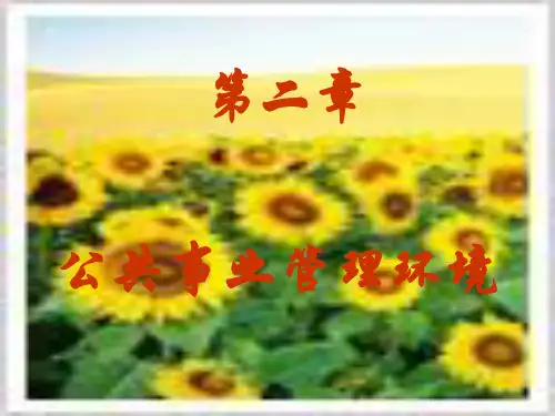公共事业管理环境 ppt课件