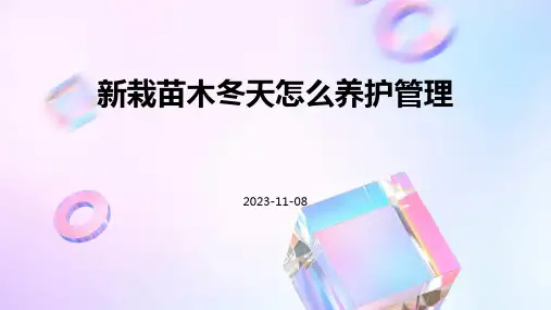 新栽苗木冬天怎么养护管理