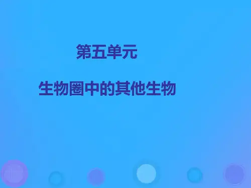 人教版5.1.1《腔肠动物和扁形动物》课件(45张PPT)