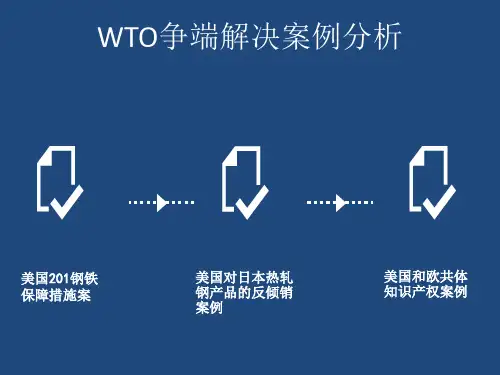 WTO争端解决案例分析