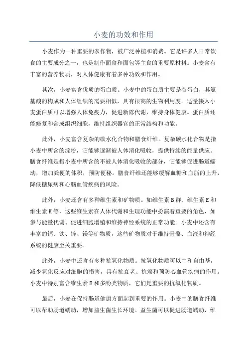小麦的功效和作用