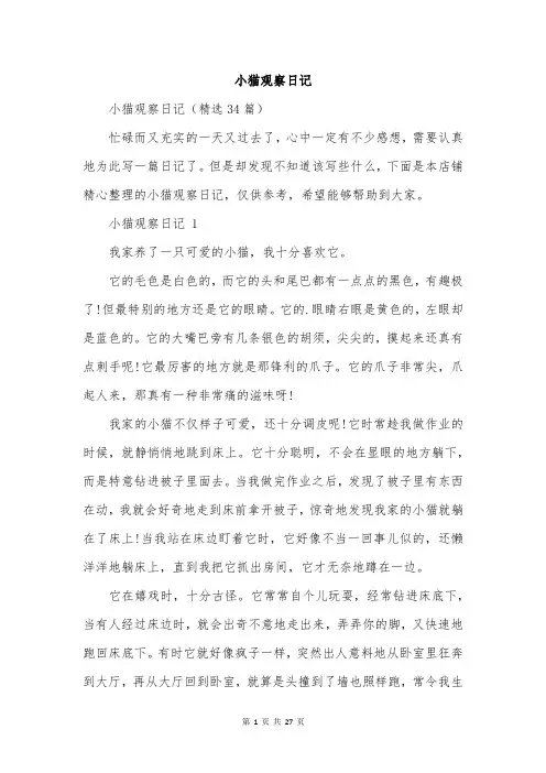小猫观察日记