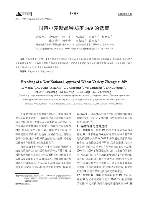 国审小麦新品种郑麦369_的选育