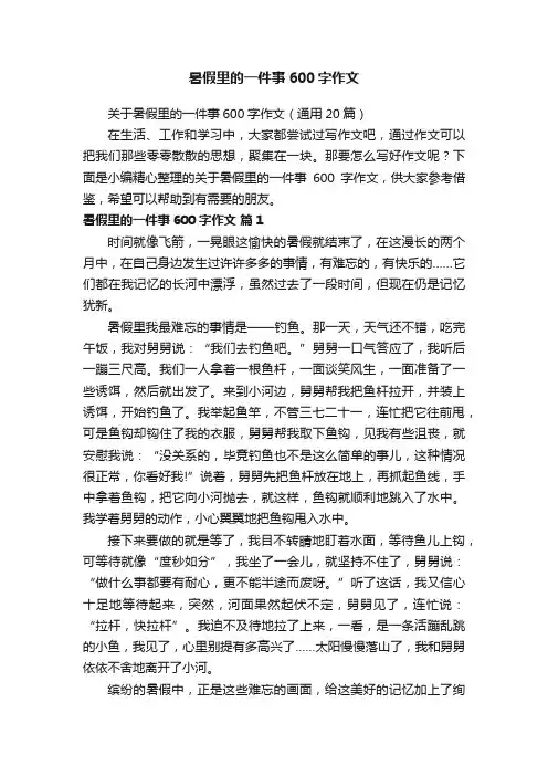 暑假里的一件事600字作文