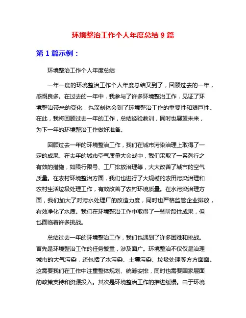 环境整治工作个人年度总结9篇
