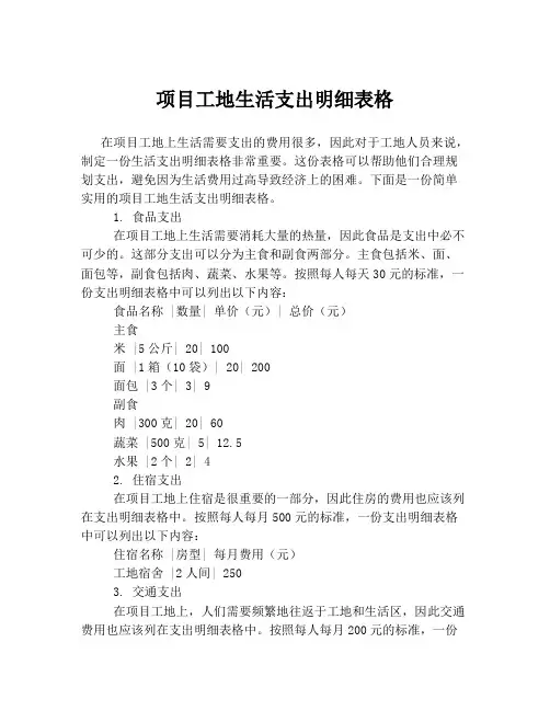 项目工地生活支出明细表格