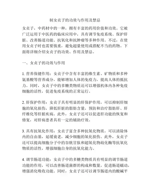 制女贞子的功效与作用及禁忌
