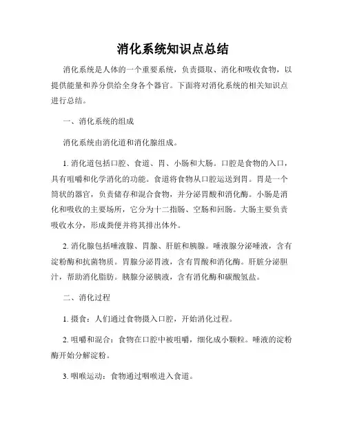 消化系统知识点总结