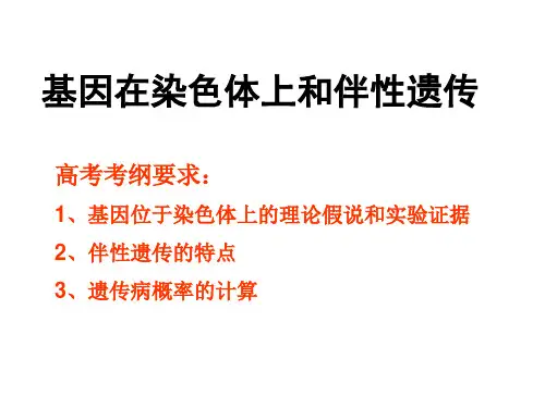 高考生物一轮复习-基因在染色体上和伴性遗传ppt课件