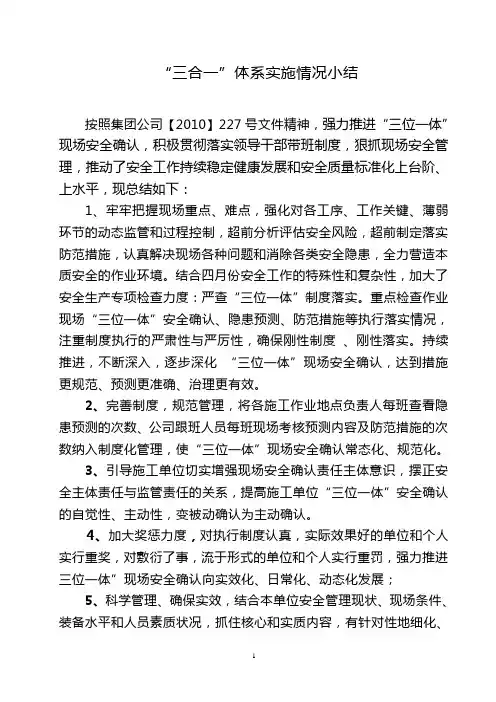 三合一体系实施情况小结