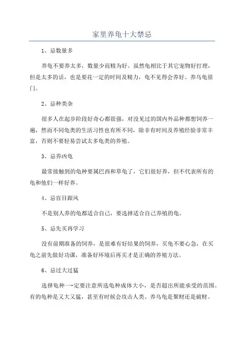 家里养龟十大禁忌