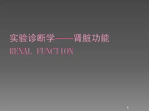 肾功能检查ppt课件