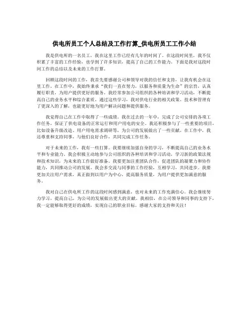供电所员工个人总结及工作打算_供电所员工工作小结