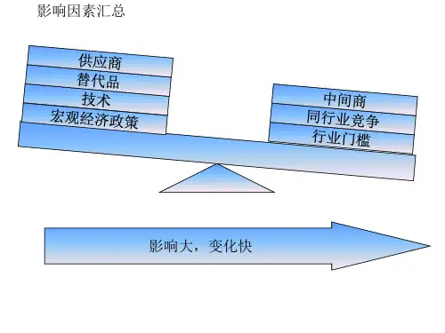 公司内外环境分析报告