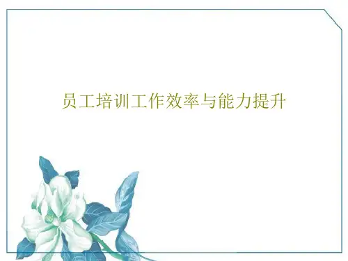 员工培训工作效率与能力提升共32页文档