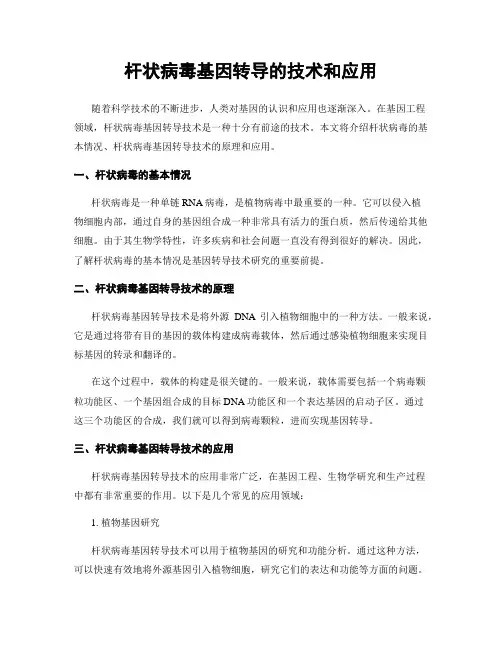 杆状病毒基因转导的技术和应用