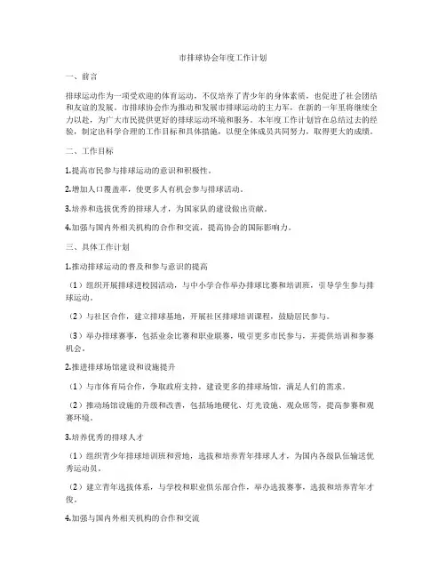市排球协会年度工作计划