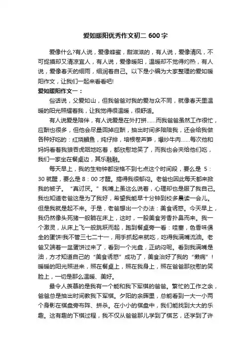 爱如暖阳优秀作文初二600字