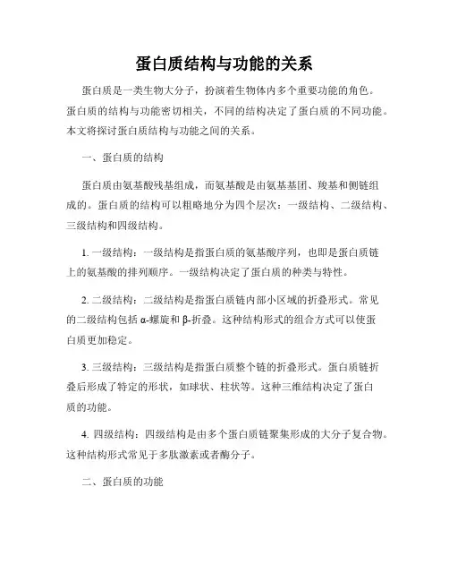 蛋白质结构与功能的关系