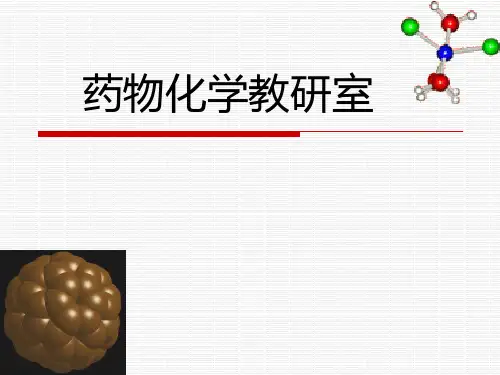 药物化学第七版第一章ppt课件