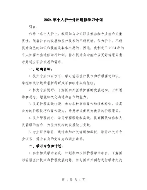 2024年个人护士外出进修学习计划