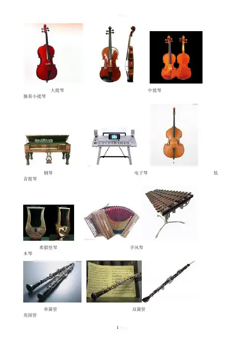 常见乐器名称+乐器图片
