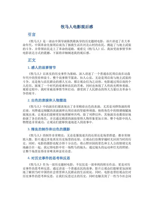 牧马人电影观后感
